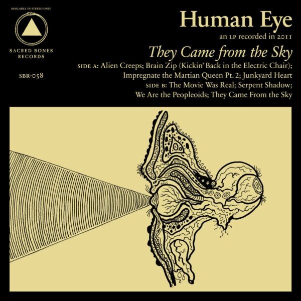 They Came From The Sky