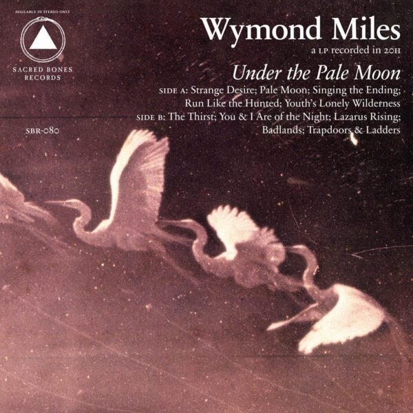 Under The Pale Moon