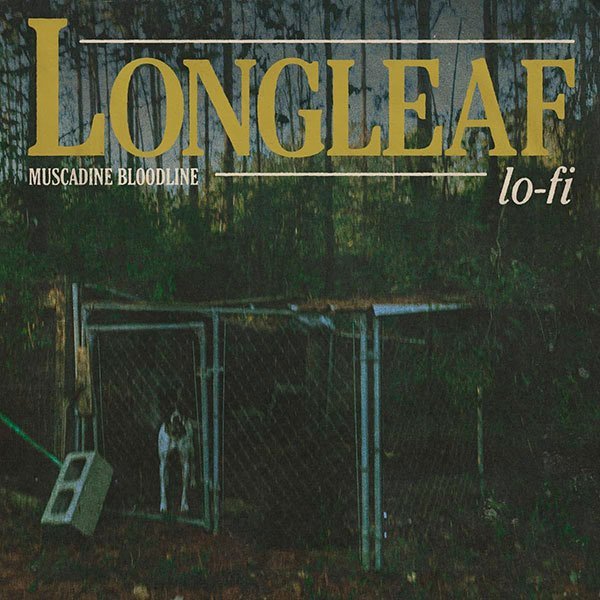Longleaf Lo-Fi